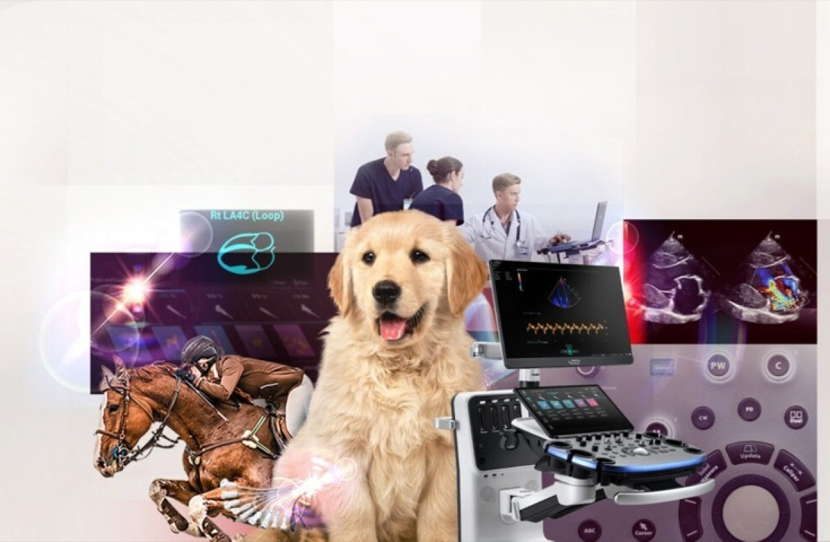 Equipos Veterinarios