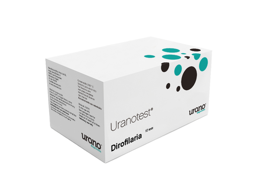Dirofilaria