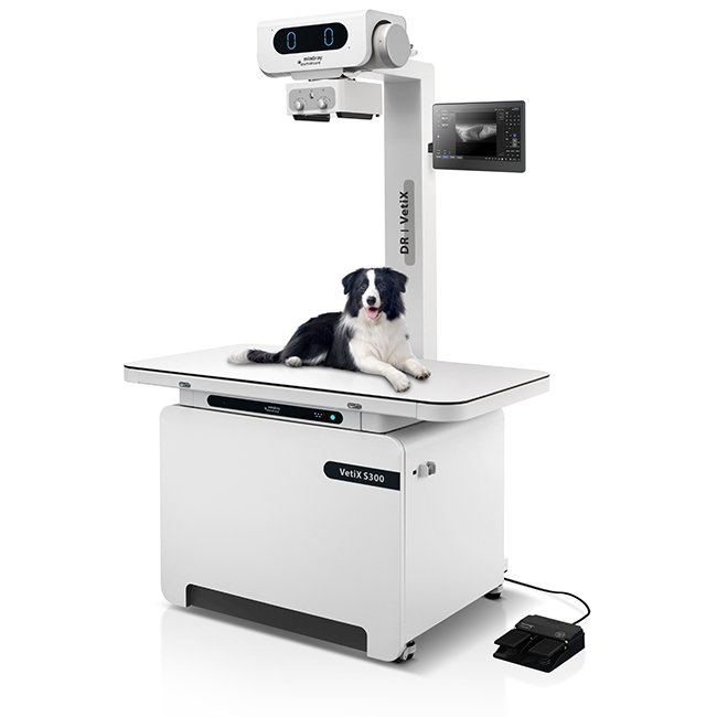 VetiX S300
