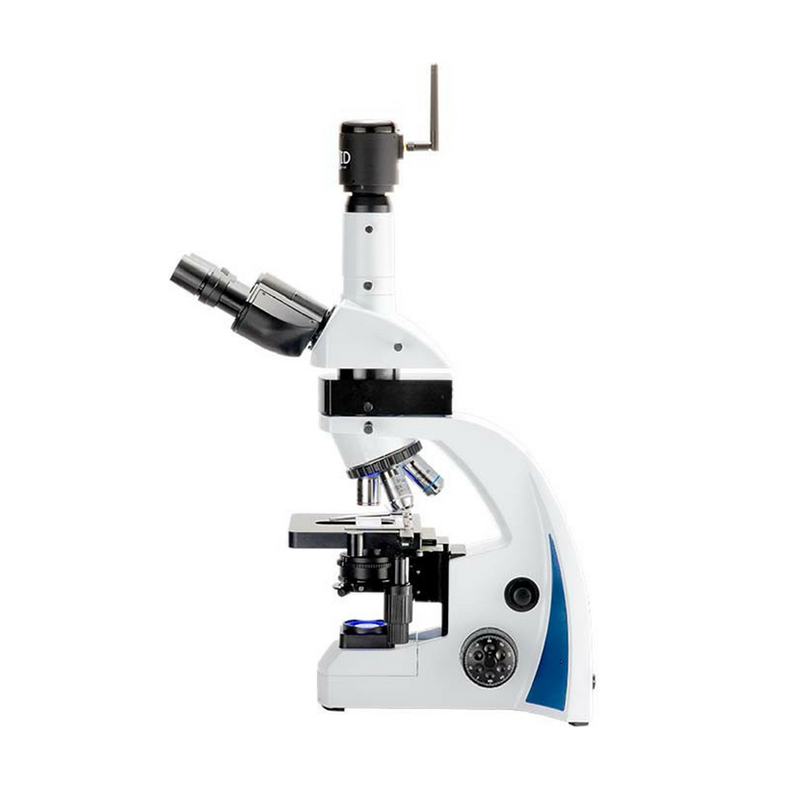 i4 DNA Fragmentation (TUNEL Assay) Microscope